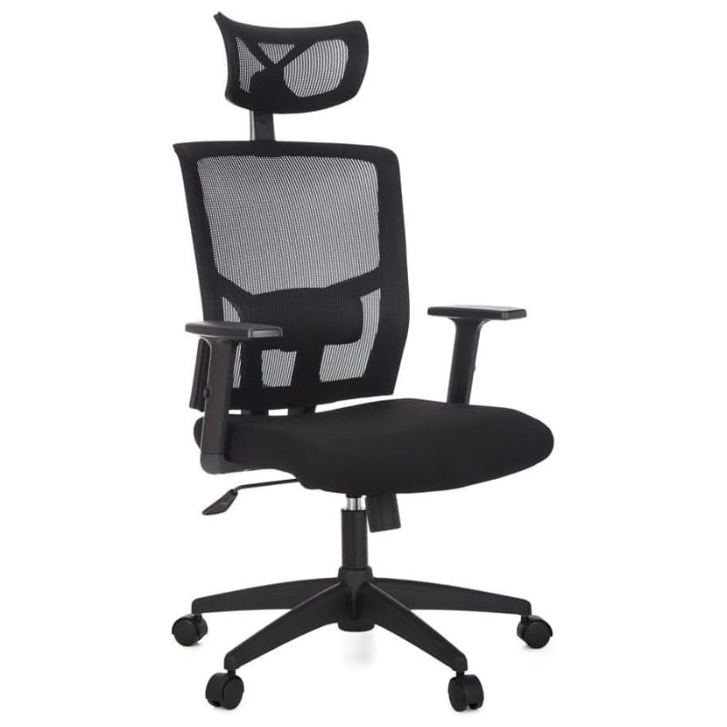 Cadeira Para Escritório Presidente Giratória Ergonômica - ANIMA